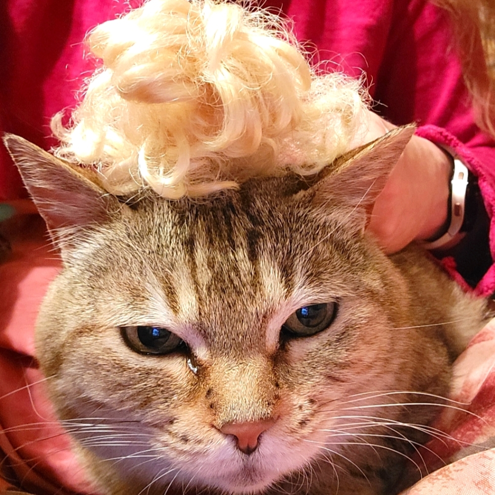 Meet your Posher, Christina